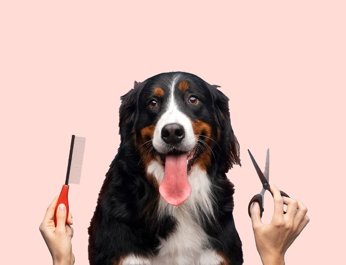 In-Store Grooming