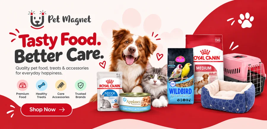 Summer sale offer: up to 60% off on pet essentials. Shop now.