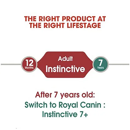 Royal Canin Feline Health Nutrition Instenctive Gravy Flavor - 85G — photo 4