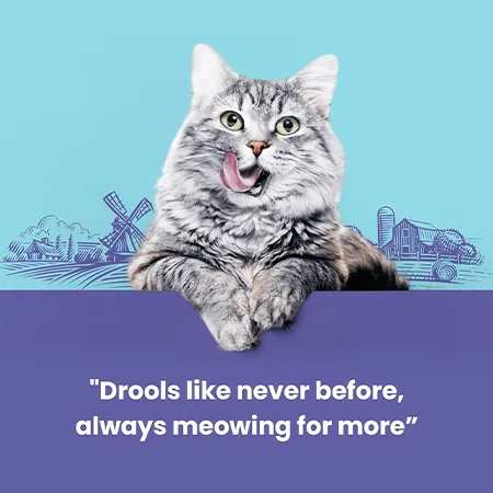 Cat Fest Cat Treats Food Pillows Crab Cream 30G — photo 2