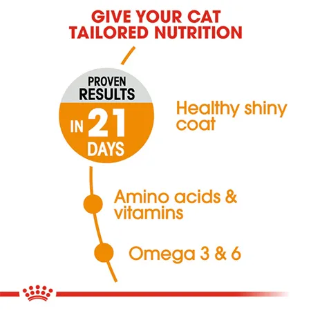 Royal Canin Adult Cat Dry Food Feline Care Nutrition Hair & Skin Poultry 2Kg — photo 7