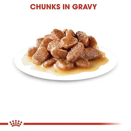 Royal Canin Cat Wet Food Feline Care Nutrition Intense Beauty Gravy 85G — photo 2