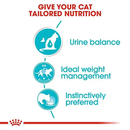 Royal Canin Cat Wet Food Feline Care Nutrition Urinary Care Poultry 85G — photo 3