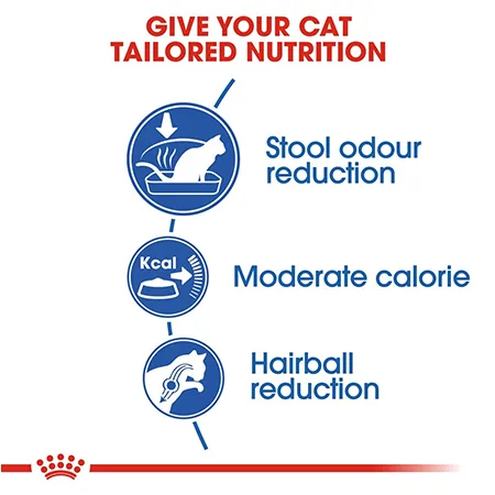 Royal Canin Adult Cat Dry Food Feline Health Nutrition Indoor Poultry 2Kg — photo 3