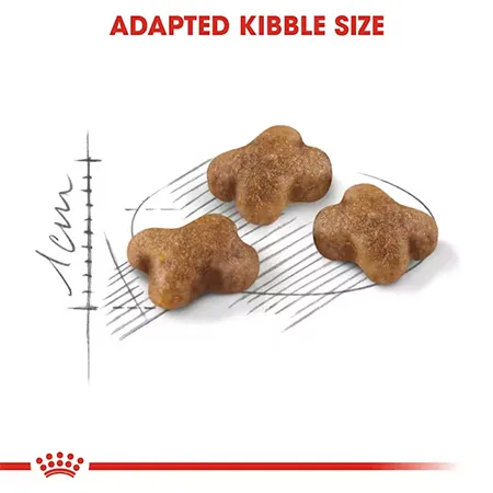 Royal Canin Kitten Cat Dry Food Feline Health Nutrition Poultry 400G — photo 6