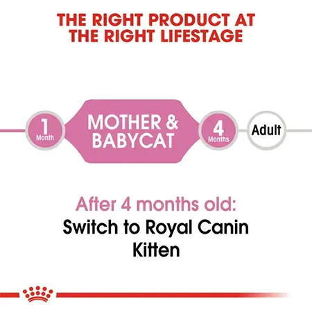 Royal Canin Kitten Cat Wet Food Feline Health Nutrition Mother & Babycat Mousse Poultry 195G 12 Pcs — photo 4