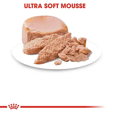 Royal Canin Kitten Cat Wet Food Feline Health Nutrition Mother & Babycat Mousse Poultry 195G 12 Pcs — photo 6