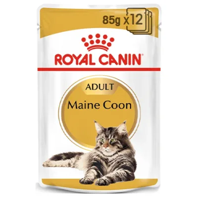 Royal Canin Adult Cat Wet Food Feline Breed Nutrition Maine Coon Poultry 85G