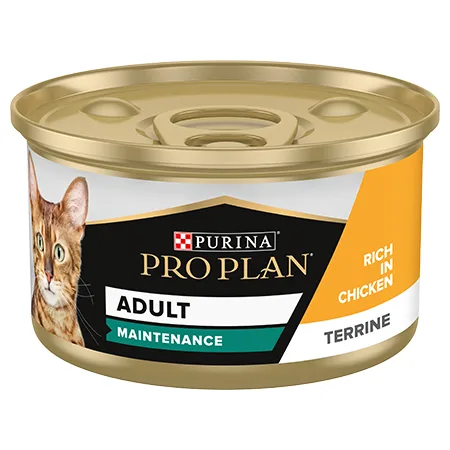 Pro Plan Adult Cat Wet Food Maintenance Chicken Terrine 85G — photo 1