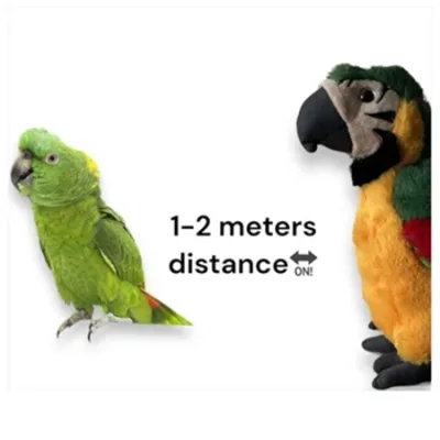 PARROT SPEAKER BIRD SPEAKER — STANDARD